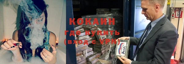 сатива Дмитриев