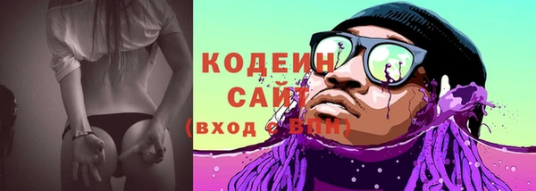 сатива Дмитриев