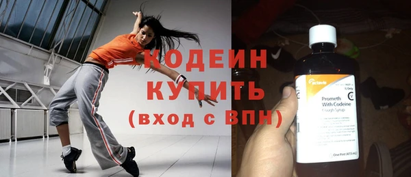 сатива Дмитриев