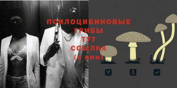 сатива Дмитриев