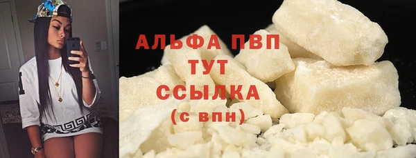 сатива Дмитриев