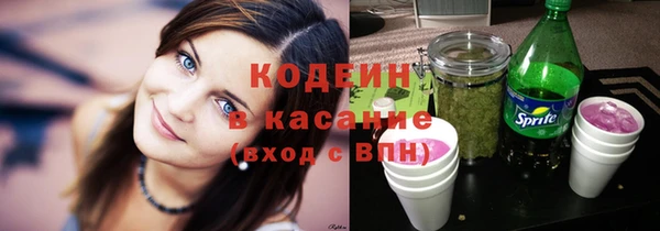сатива Дмитриев