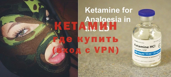 сатива Дмитриев