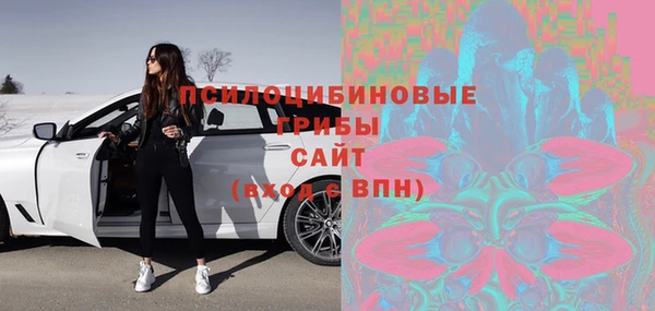 apvp Елабуга