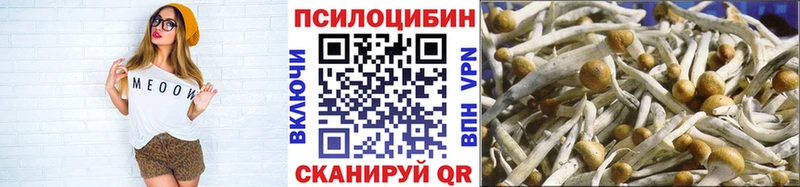 сколько стоит  Керчь  Псилоцибиновые грибы Cubensis 